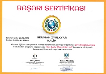 Kim Suçlu Öfke mi Ben mi Konulu Sertifika