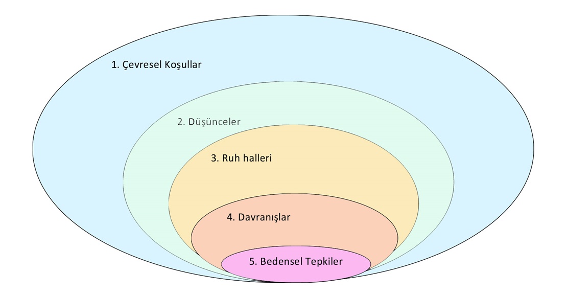 Psikoloğun Görevi Nedir